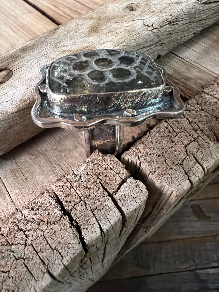 Daisy in Labradorite